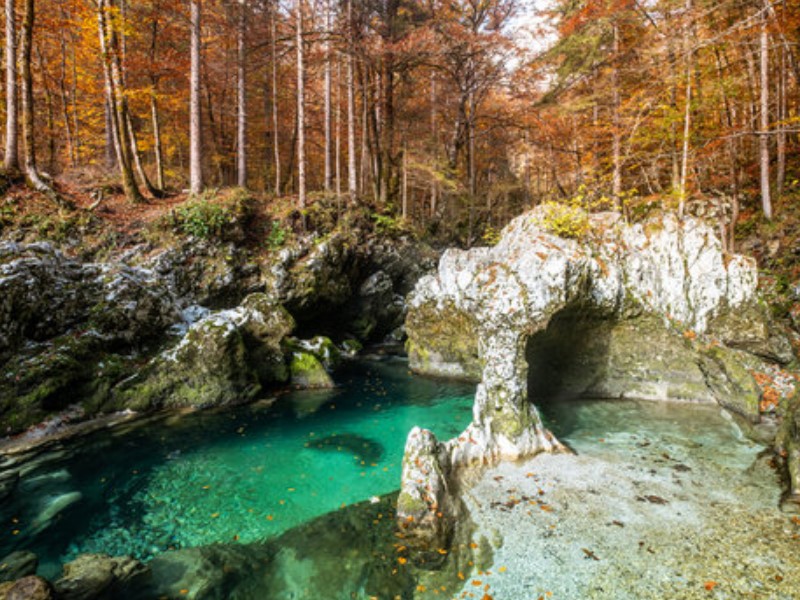 find the ideal Bohinj property or Slovenia real estate.