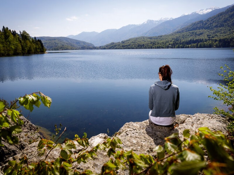 looking around for Bohinj property