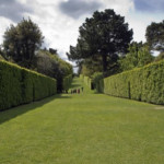 hedge-trimmer-2